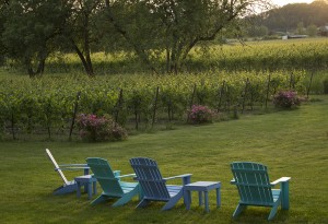 A relaxing atmosphere at Keeler Estate Vineyard