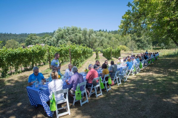 IPNC lunch at Keeler Estate Vineyard